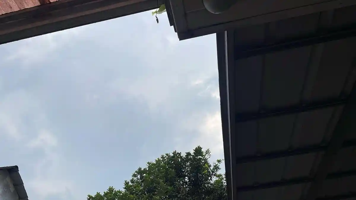 Prakiraan Cuaca Kota Bogor Minggu 22 Februari 2026, Potensi Hujan dari Pagi Sampai Sore